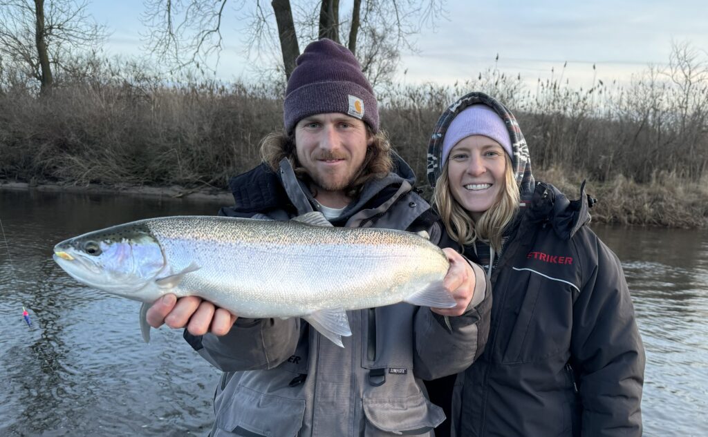 River Steelhead in West Michigan